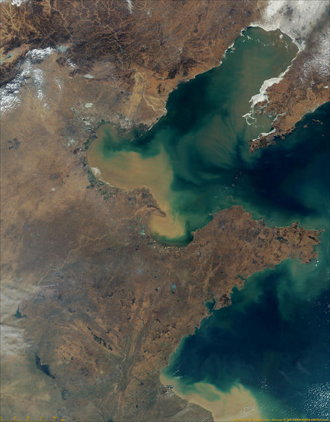 Mouth of the Yellow River