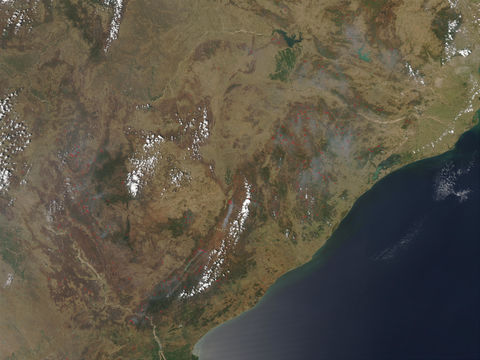 Fires in eastern India 2003