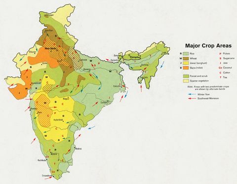 Principales Cultivos de India 1973