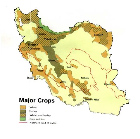 Iran Major Crops 1978