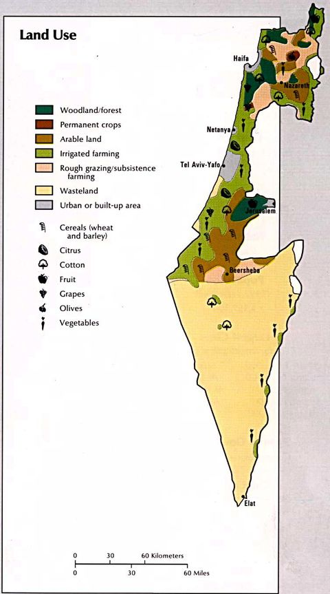 Uso de la Tierra de Israel 1993