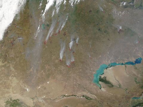 Fires in Kazakhstan