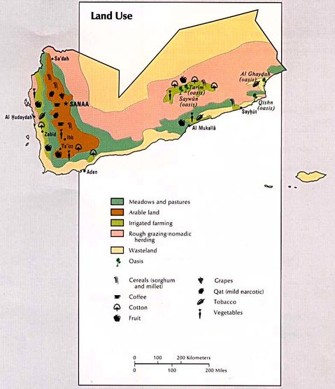 Yemen Land Use 1993