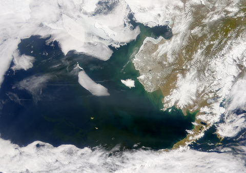 Bering Sea in Bloom