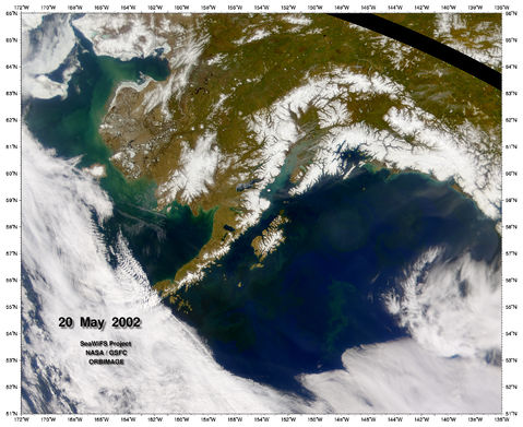 Fitoplancton en el Golfo de Alaska