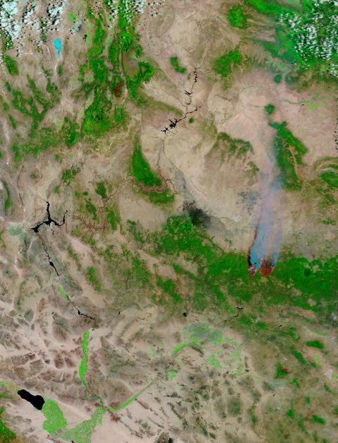Incendios Rodeo y Chediski, Arizona
