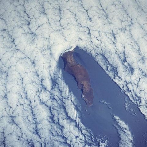 Satellite Image of Guadalupe Island