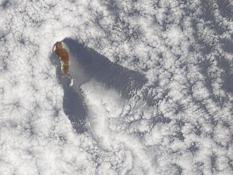 Isla Guadalupe, cerca de Baja California