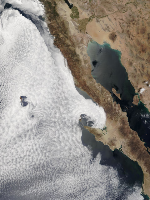 Satellite image of Vortex street off Baja California