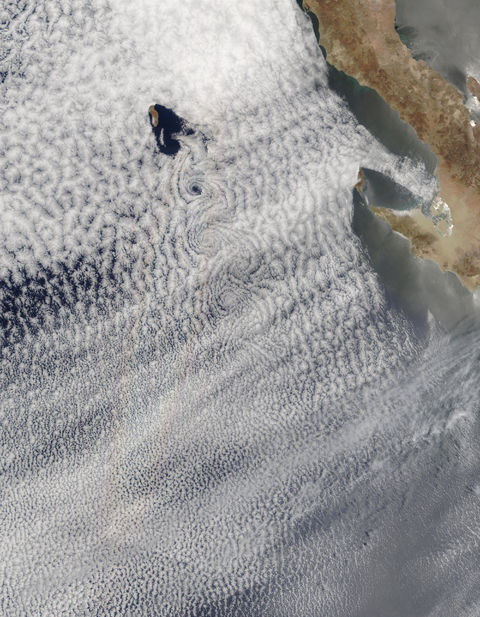 Vortex street and glory south of Guadalupe Island