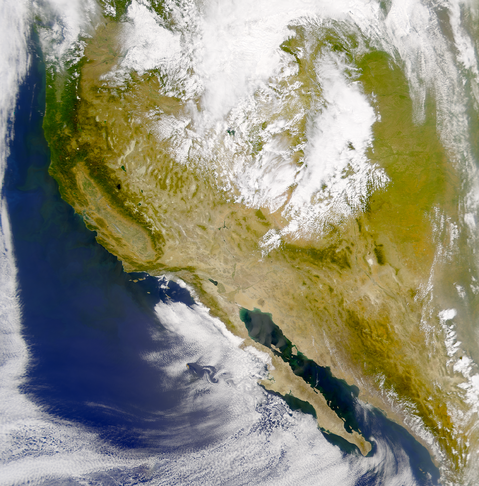 Guadalupe Island Vortex Street