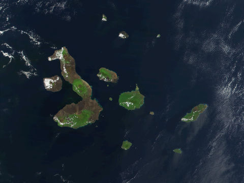 Galapagos Islands