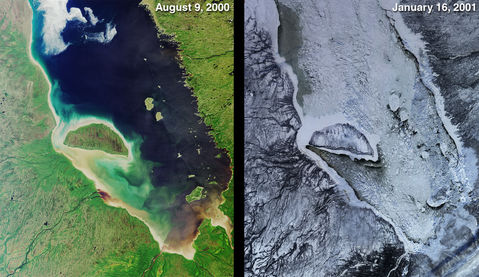 Satellite Image, Photo of Green Summer and Icy Winter in James Bay, Quebec