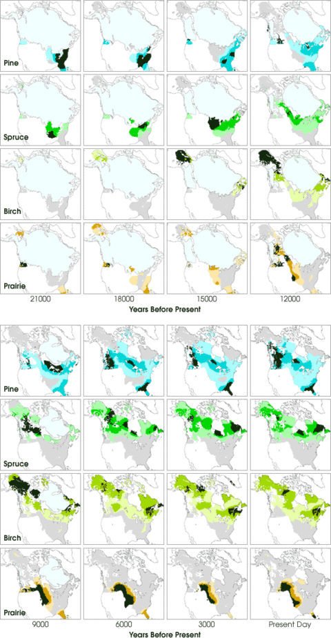 The Migrating Boreal Forest