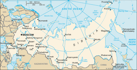 Mapa Político Pequeña Escala de Rusia 2008