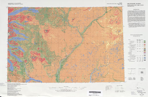 Dillingham Vegetation and Land Cover Map Sheet, United States 1973