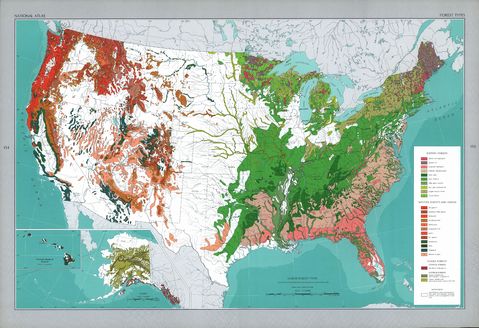 United States Forest Types