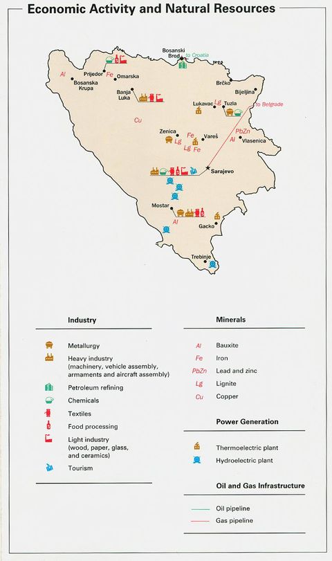 Actividad Económica y los Recursos Naturales de Bosnia y Herzegovina  1993