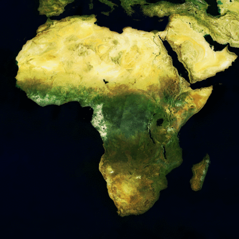 Africa satellite color mosaic image