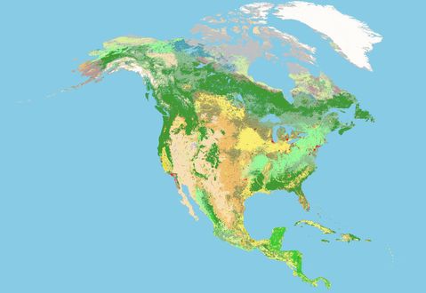 Soil characterization of North America