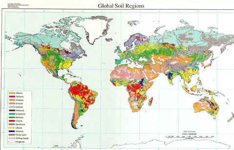 World soil regions