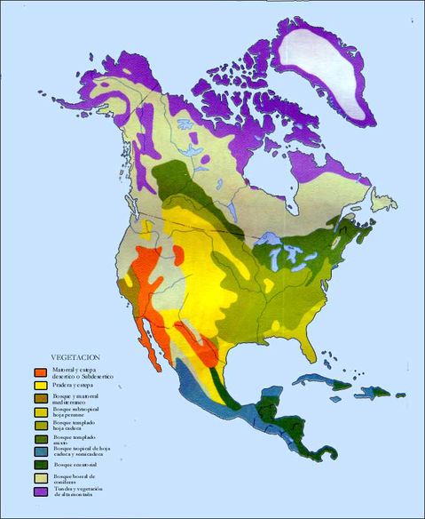 Vegetation of North America