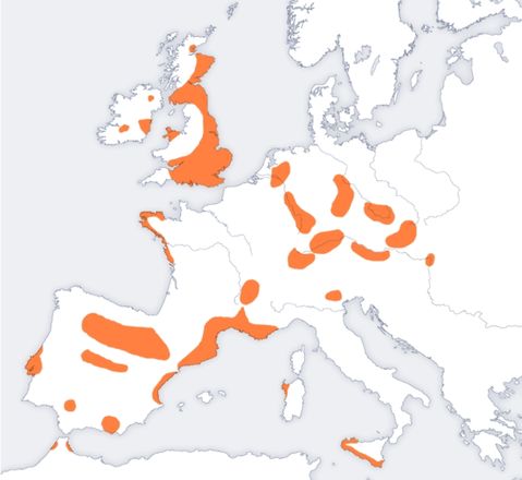 Occurence of finds of the Bell Beaker Culture en Europe