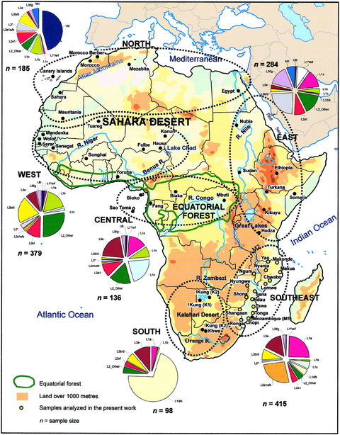 Genoma mitocondrial en Àfrica