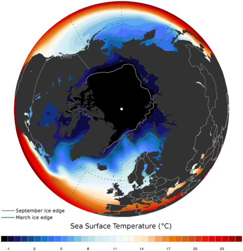 Arctic annual mean sea surface temperature