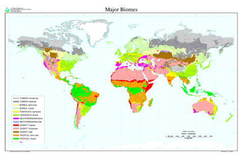 World major biomes 