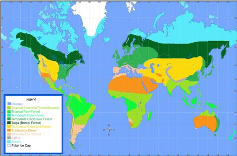 Los biomas del Mundo