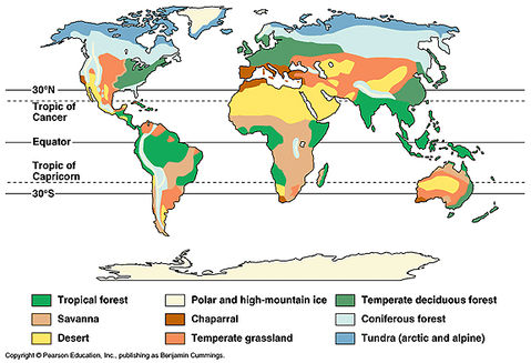 Resultado de imagen de ecosistemas del mundo mapa