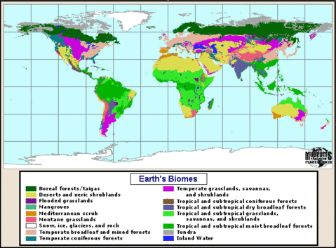 Ecosistemas de la Tierra