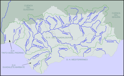 Ríos de Andalucía 2008