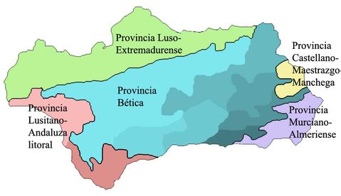 Floristic provinces of Andalusia