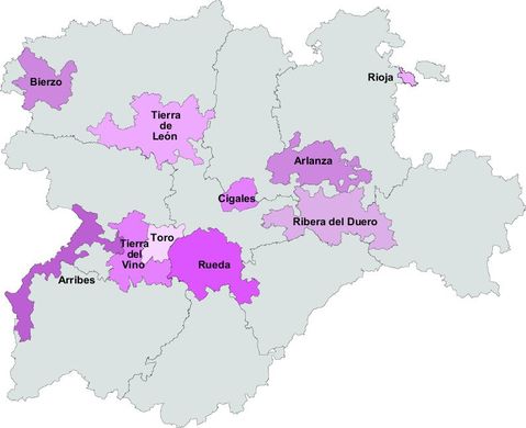 Castile and León wines 2008