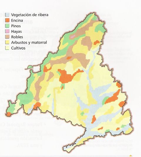 mapa vegetacion madrid Vegetación Comunidad de Madrid | Gifex