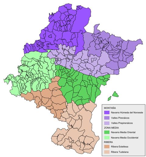 Comarcas de Navarra 2008