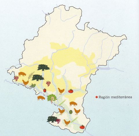 Agricultural regions of Navarre