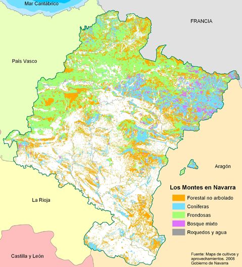 Forest map of Navarre 2008