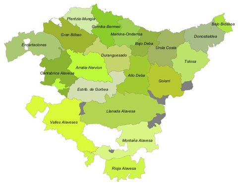 Comarcas of the Basque Country 2007