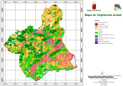 Vegetation in the Region of Murcia