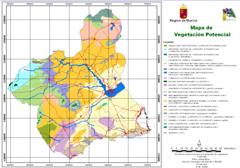 Potential vegetation in the Region of Murcia