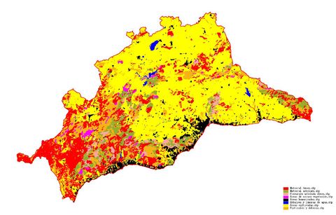 Vegetación de la provincia de Málaga