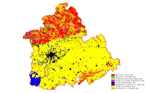 Vegetación de la provincia de Sevilla