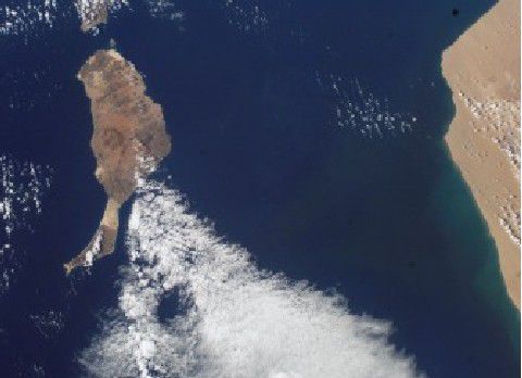 Fuerteventura Island satellite image