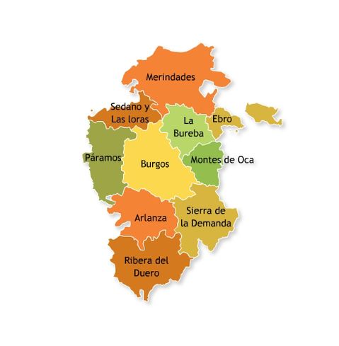 Comarcas of the province Burgos