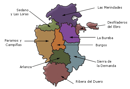 Comarcas of the province Burgos