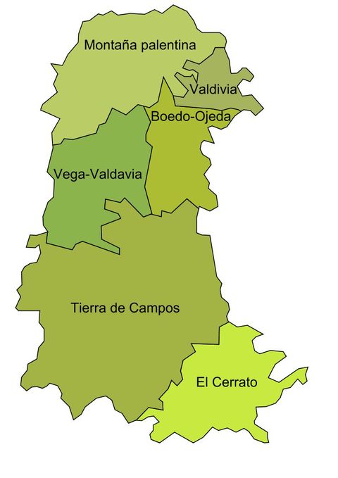 Natural comarcas of the province of Palencia 2009