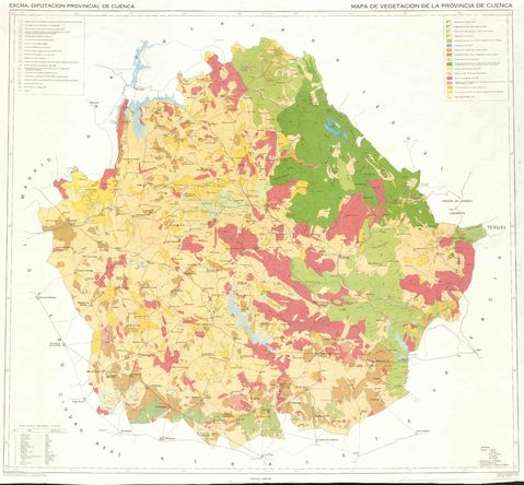 Vegetación de la Provincia de Cuenca 1982